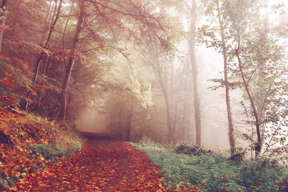 Tablet Baru Huawei Matepad 12 X Rilis Tahun Baru, Cek Spesifikasinya