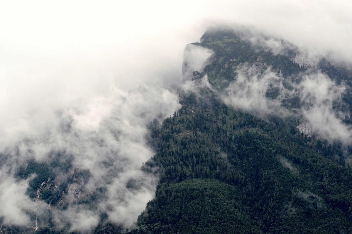 HONOR Pad X8b: Tablet Tangguh dengan Sertifikasi SGS dan Fitur Keluarga yang Komprehensif