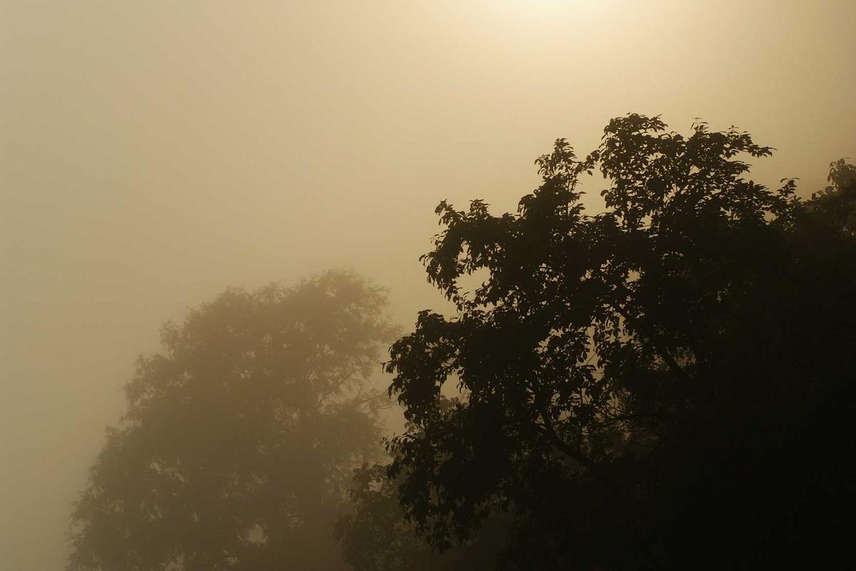 Vendor Smartphone Rilis Ponsel dan Tablet Baru pada April 2026