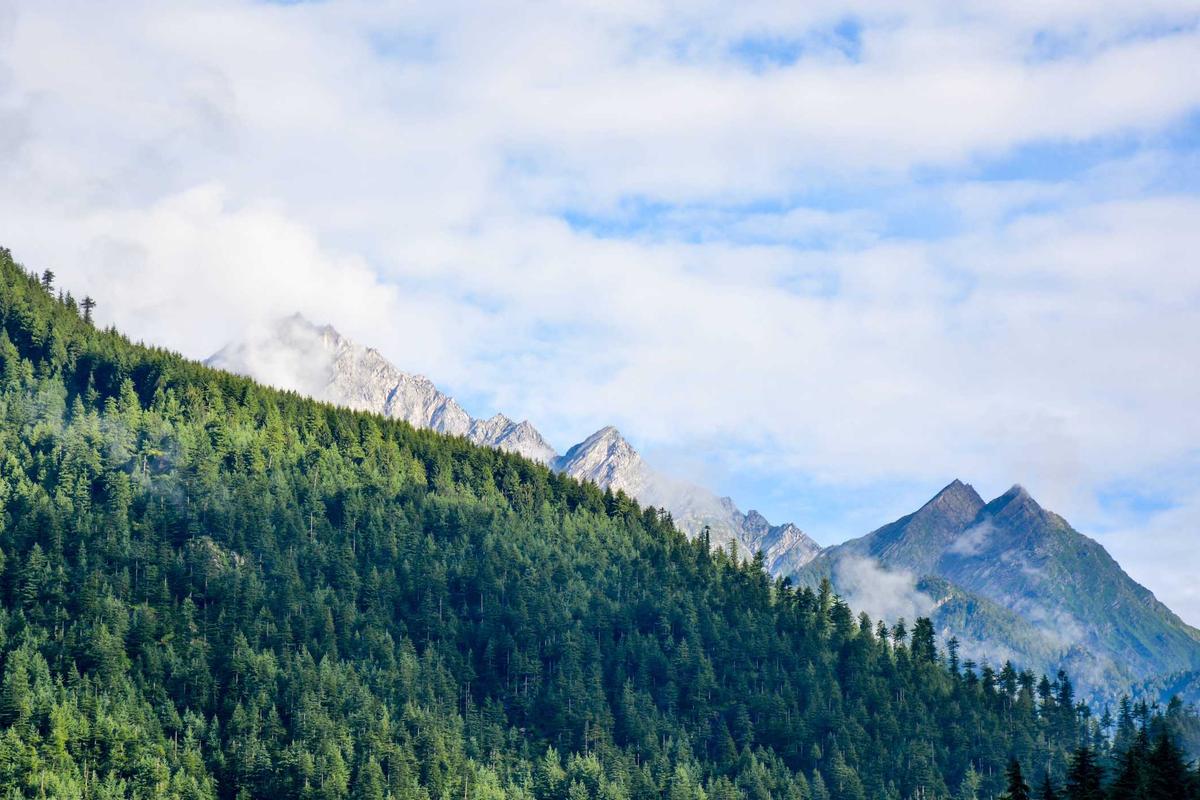 Huawei Siapkan Tablet Mini Terbaru 2026: Layar OLED & Bezel Tipis