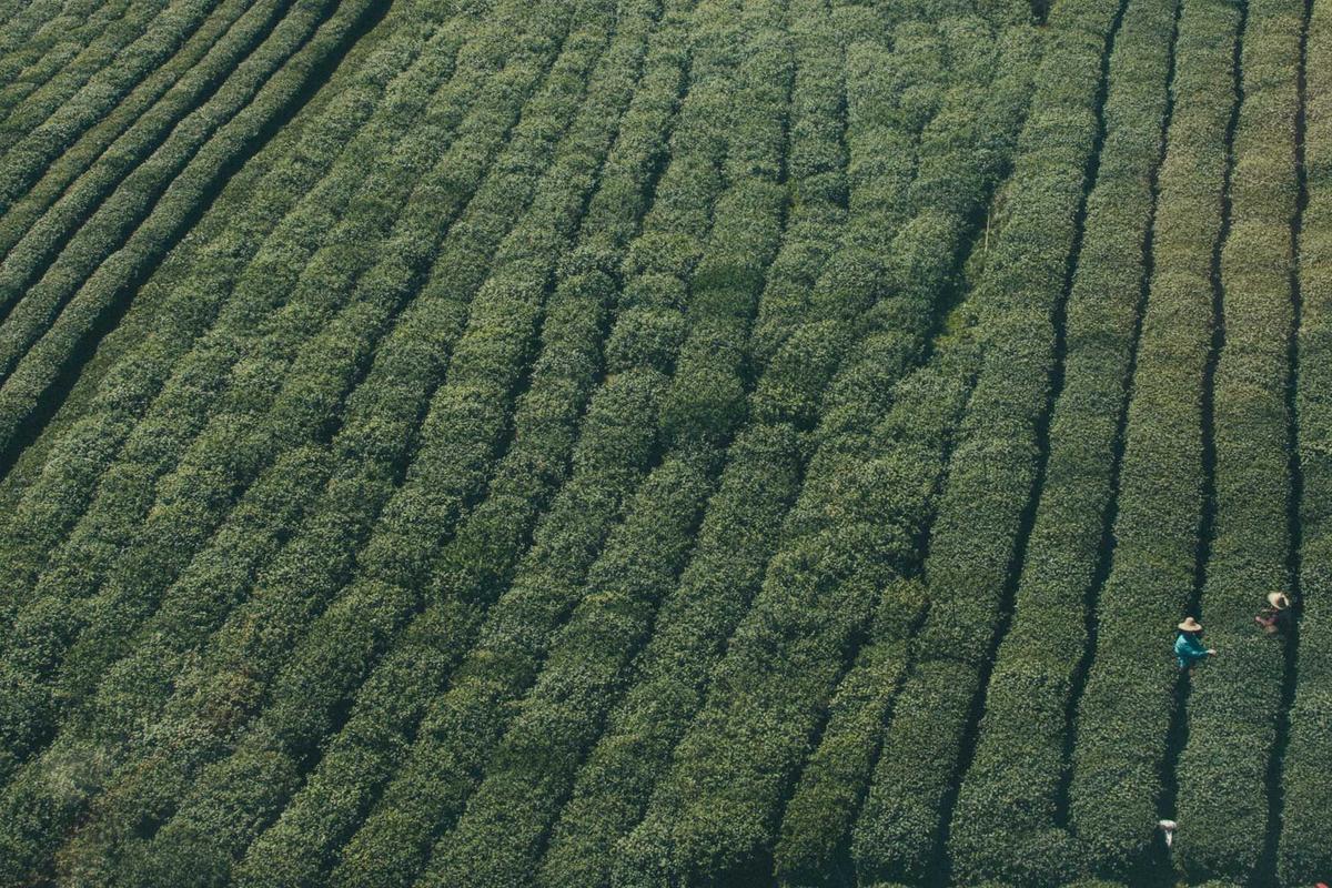 Huawei Siapkan Tablet Mini Terbaru 2026: Layar OLED & Bezel Tipis