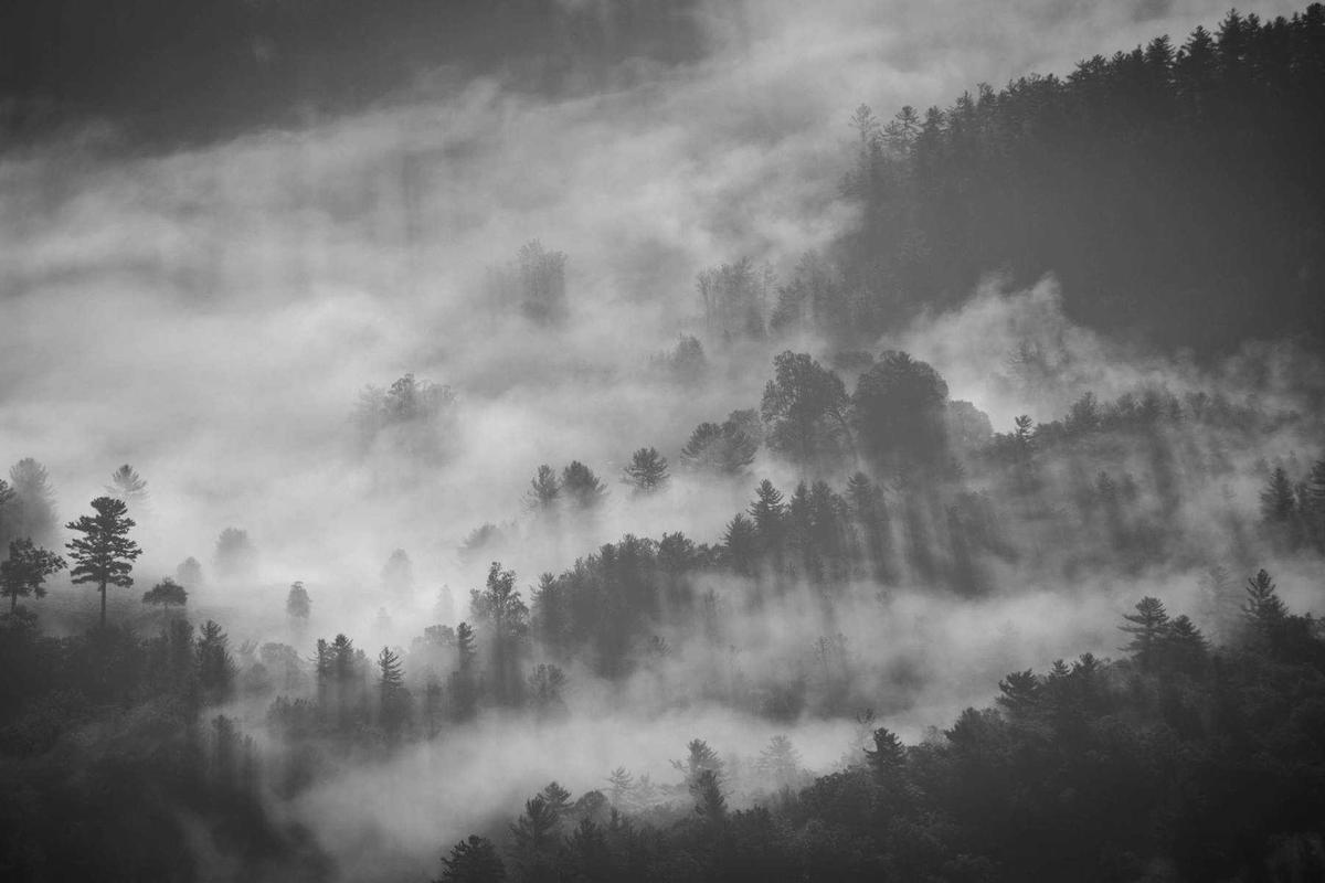 Huawei Siapkan Tablet Mini Terbaru 2026: Layar OLED & Bezel Tipis