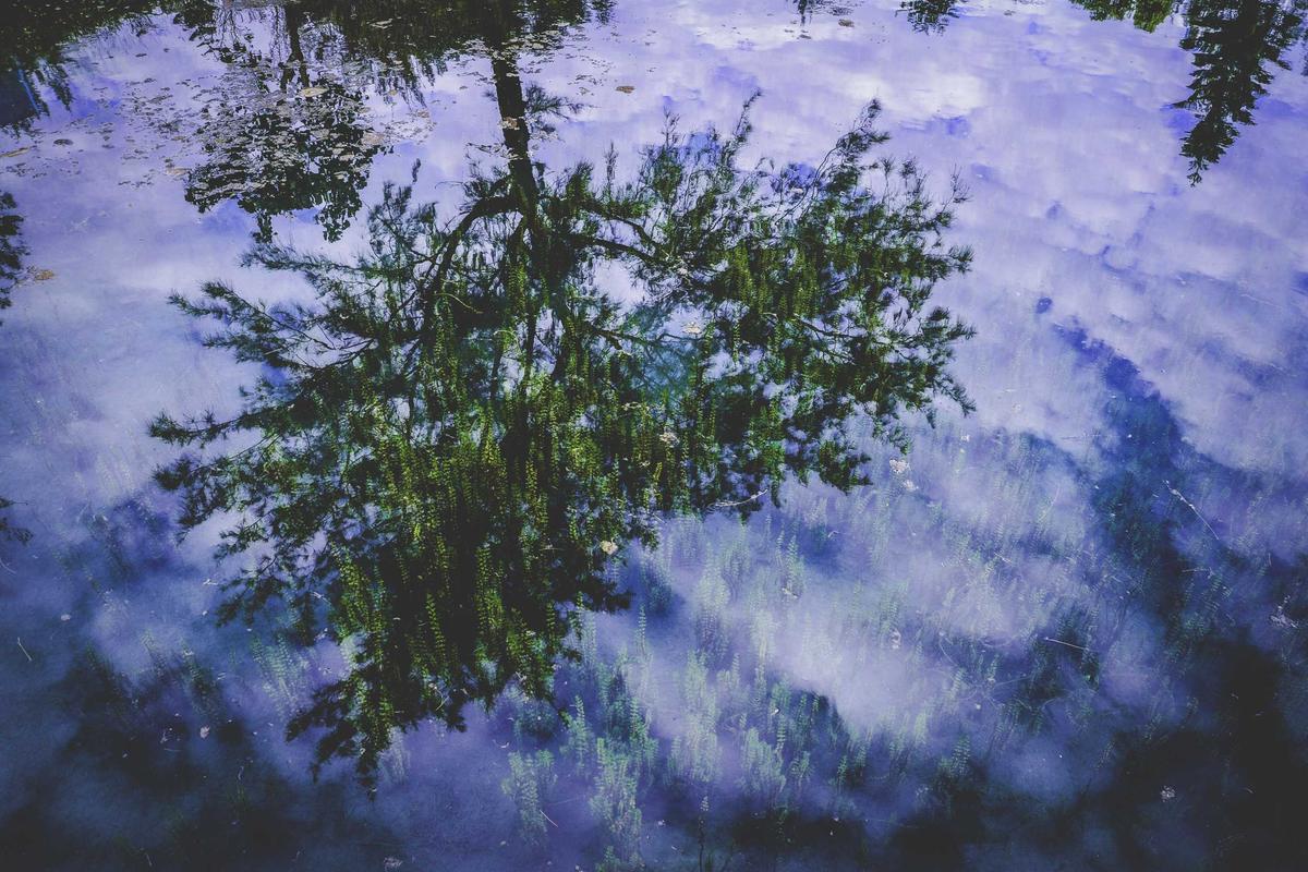 Samsung Galaxy Tab S11 Series: Tablet Premium dengan Fitur Lengkap