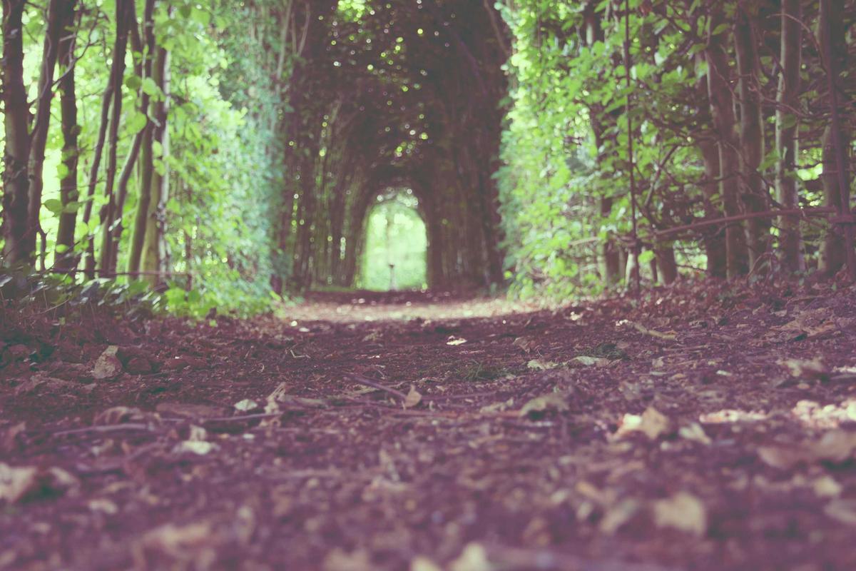 10 Rekomendasi Tablet untuk Anak Terbaik [untuk Belajar & Bermain] (Terbaru Tahun 2026)