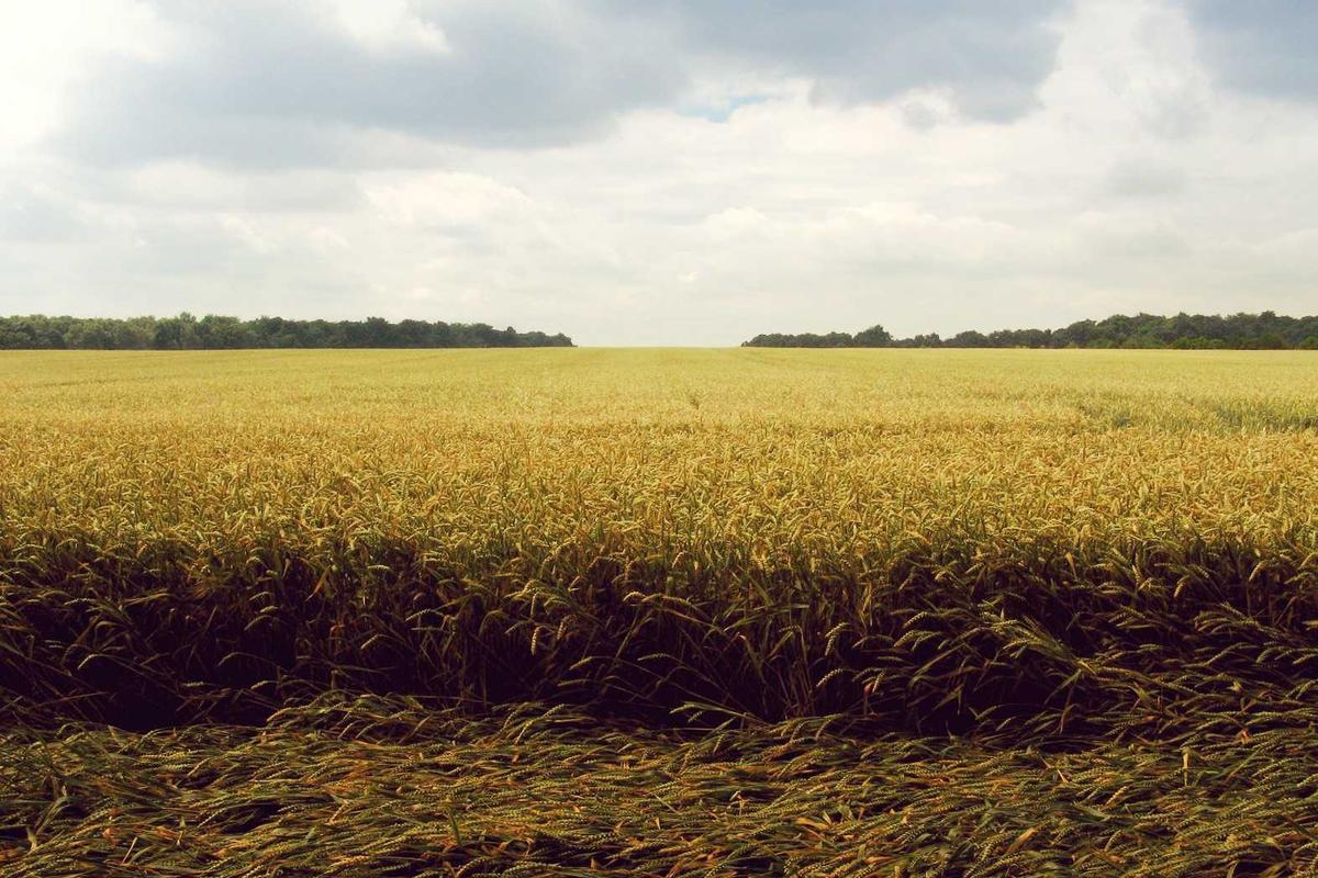 10 Rekomendasi Tablet untuk Anak Terbaik [untuk Belajar & Bermain] (Terbaru Tahun 2026)