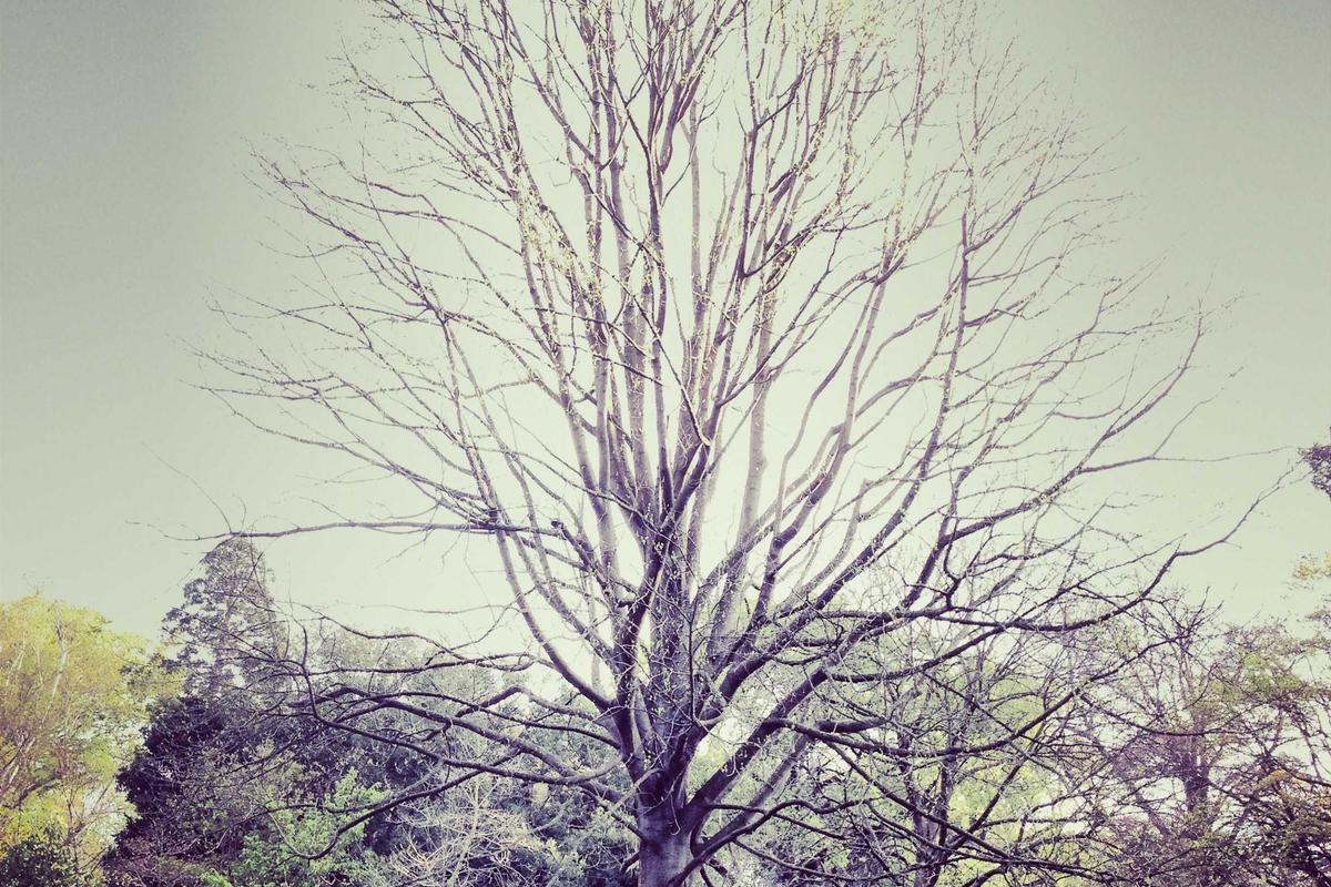 3 iPad Terbaru 2026 dari Apple, Pilihan Tablet Terbaik untuk Pelajar & Kerja