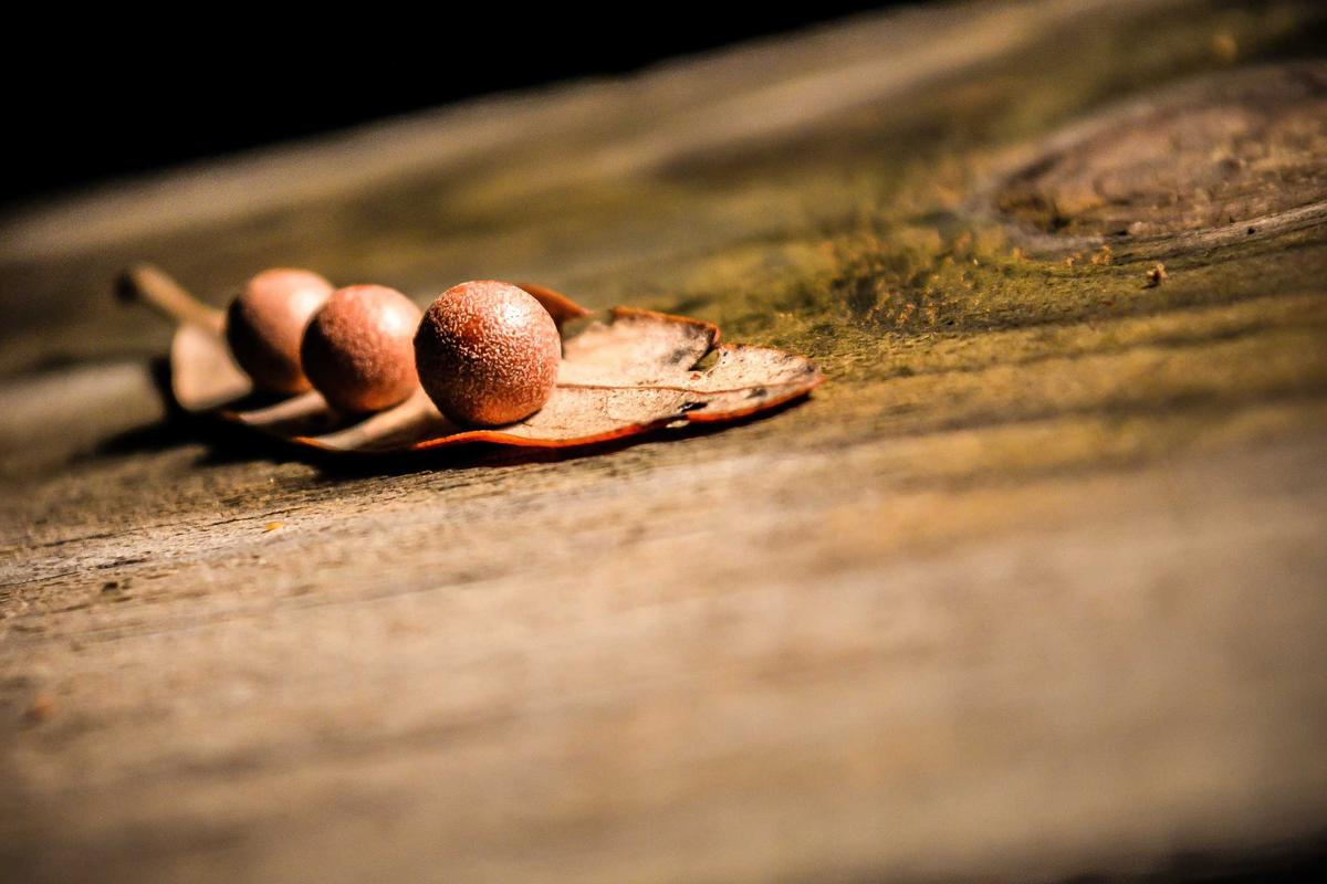 3 iPad Terbaru 2026 dari Apple, Pilihan Tablet Terbaik untuk Pelajar & Kerja