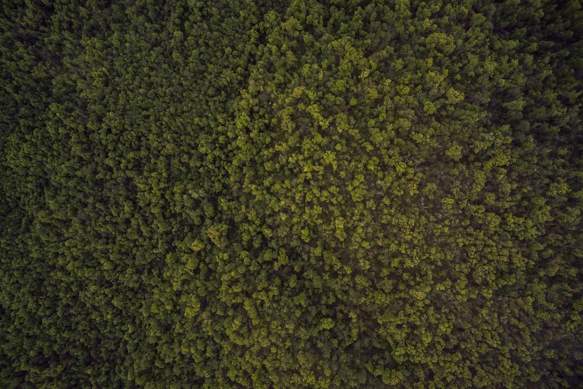 Hadir di Indonesia, Galaxy Tab S11 Series Siap Jadi Partner Produktivitasmu